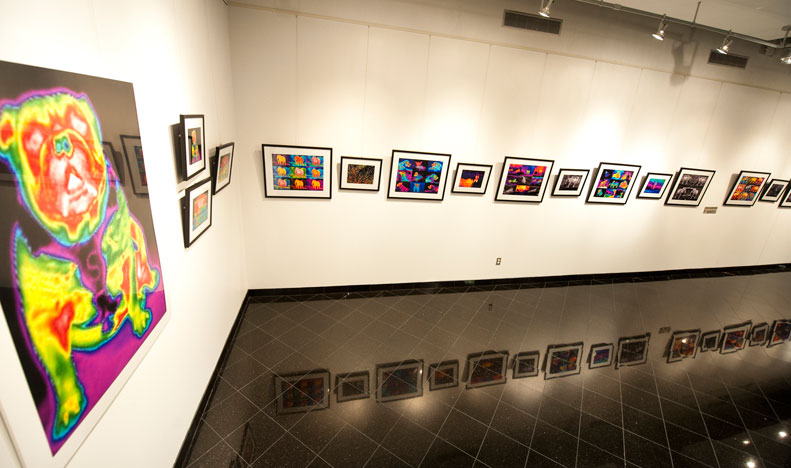 Thermal Photography Gallery